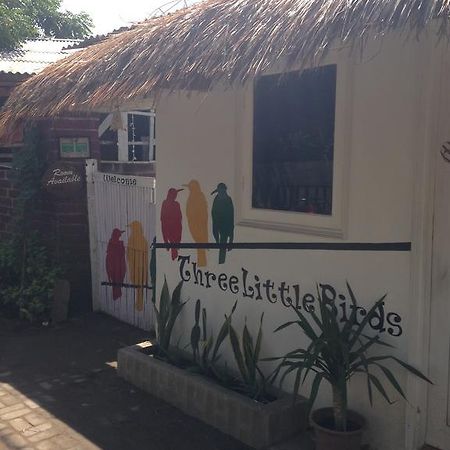 Three Little Birds Homestay Gili Trawangan Exteriér fotografie