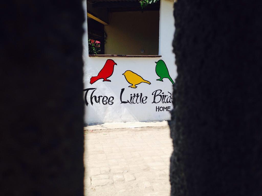 Three Little Birds Homestay Gili Trawangan Exteriér fotografie