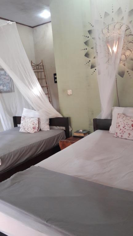 Three Little Birds Homestay Gili Trawangan Exteriér fotografie
